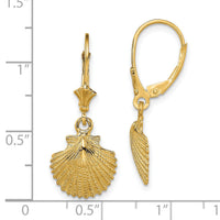 14K 2-D and Textured Scallop Shell Leverback Earrings-TF1838