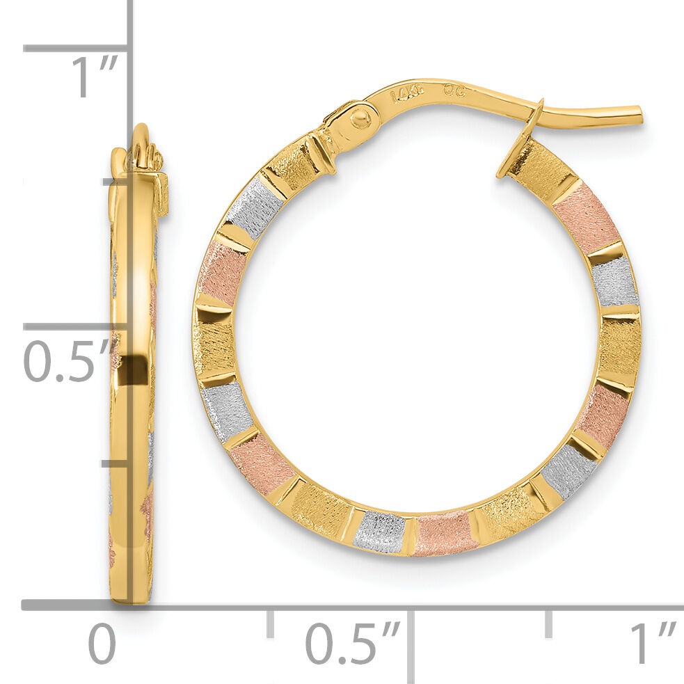 14k w/White & Rose Rhodium Polished & Satin Hoop Earrings-TF1973