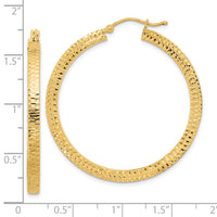 14K Polished & Hammered Hoop Earrings-TF2076