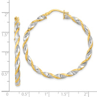 14K & White Rhodium Polished & Twist Hoop Earrings-TF2104