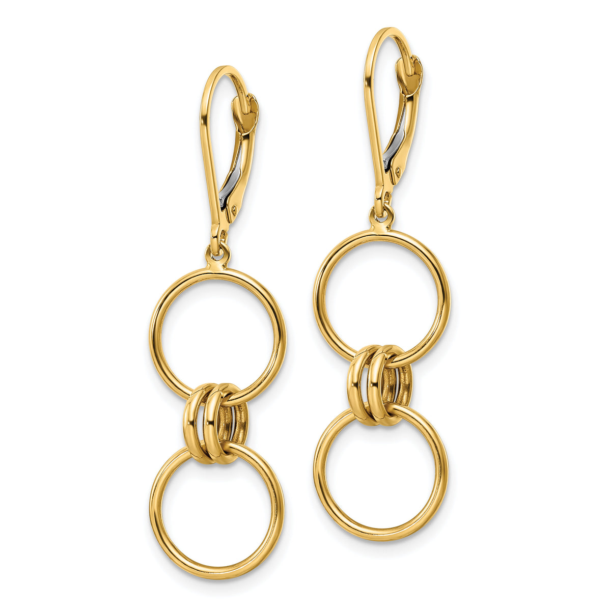 14k Circle Dangle Leverback Earrings-TF2159
