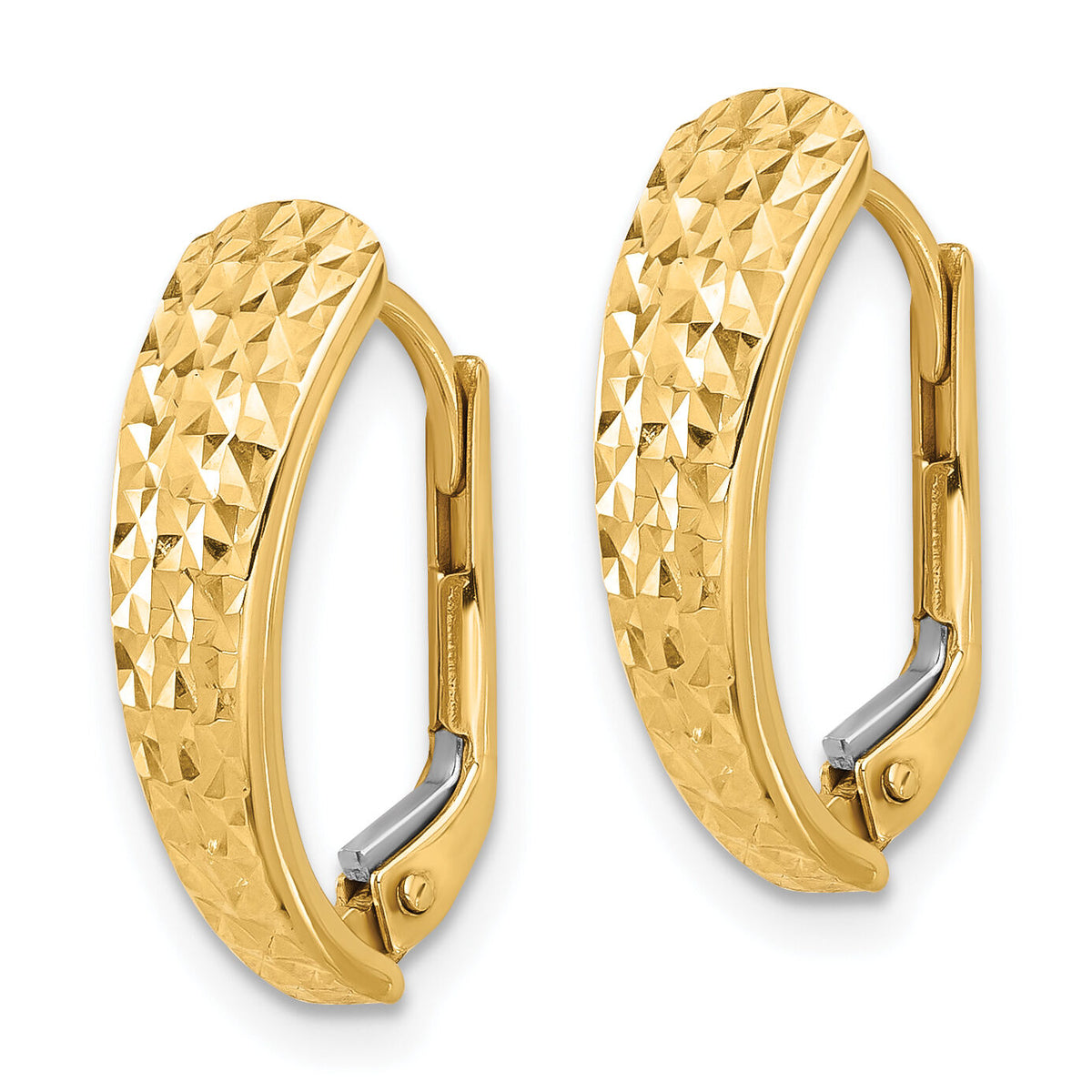 14K Polished and Diamond-cut Leverback Earrings-TF2283