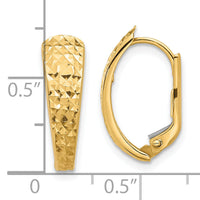 14K Polished and Diamond-cut Leverback Earrings-TF2283