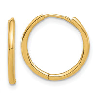 14K Polished Hinged Hoop Earrings-TF2302