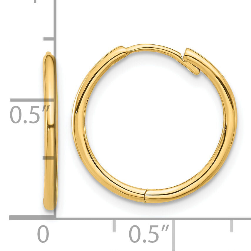 14K Polished Hinged Hoop Earrings-TF2303