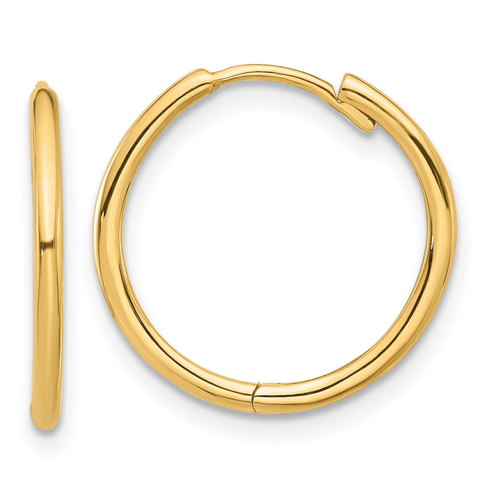 14K Polished Hinged Hoop Earrings-TF2303