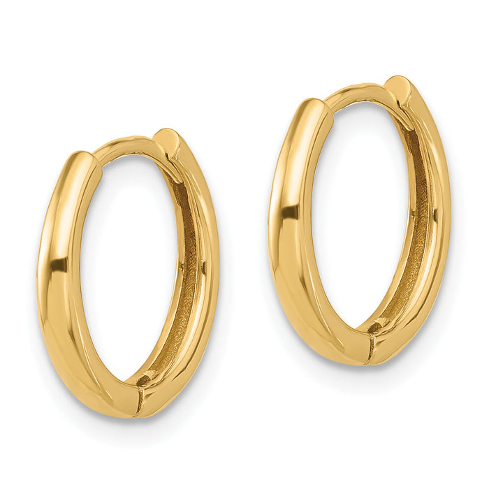 14K Polished Hinged Hoop Earrings-TF2307