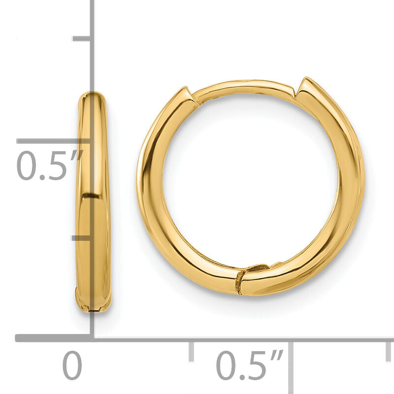 14K Polished Hinged Hoop Earrings-TF2307