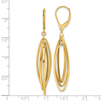 14k Polished Oval Twisted Dangle Leverback Earrings-TF2324