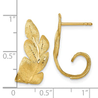 14k Brushed And Textured Leaf Post Earrings-TF2567