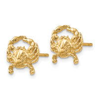 14k Crab Post Earrings-TF524