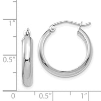 14k White Gold Hoop Earrings-TF574
