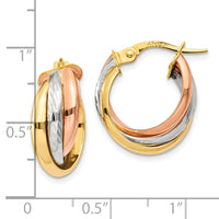 14K Tri-color Polished Hoop Earring-TF712