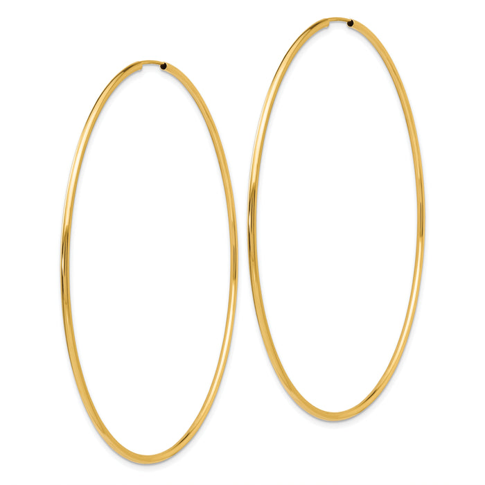 14K 1.20mm Polished Endless Hoop Earrings-TF803