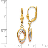 14K Tri-Color Polished Dangle Leverback Earrings-TH860