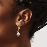 14K Two-tone Polished Diamond-cut Dangle Leverback Earrings-TH890