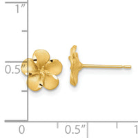 14k Satin Diamond-cut Plumeria Post Earrings-TL1116