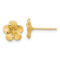 14k Satin Diamond-cut Plumeria Post Earrings-TL1116