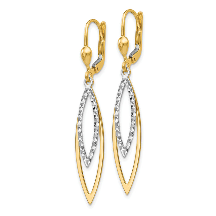 14k Two-tone Diamond-cut Leverback Earrings-TL305
