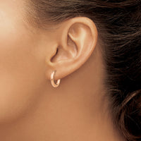 14K Rose Gold Polished Hollow Hinged Hoop Earrings-TL612