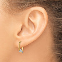 14K & Rhodium Dolphin Hoop Earrings-TL729
