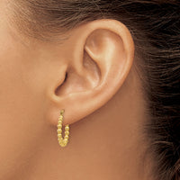 14K Beaded Hoop Earrings-TL757