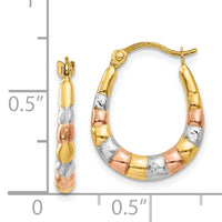 14K & White and Rose Rhodium Hollow Scalloped Hoop Earrings-TL775