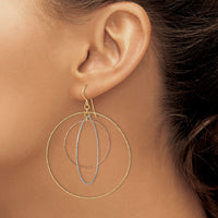 14k Tri-color Diamond Cut Graduated Circles Shepherd Hook Earrings-TL999