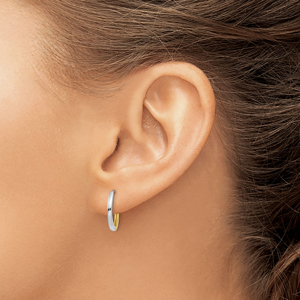 14k Two-tone Round Hinged Hoop Earrings-TM593