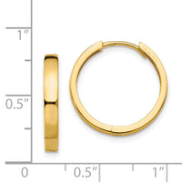 14K Hinged Hoop Earrings-TM629