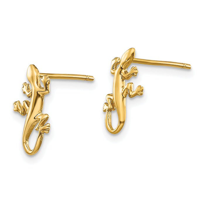 14k Polished Gecko Post Earrings-TM738