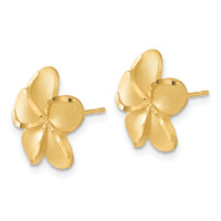 14k Plumeria Post Earrings-TM761