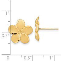 14k Plumeria Post Earrings-TM761