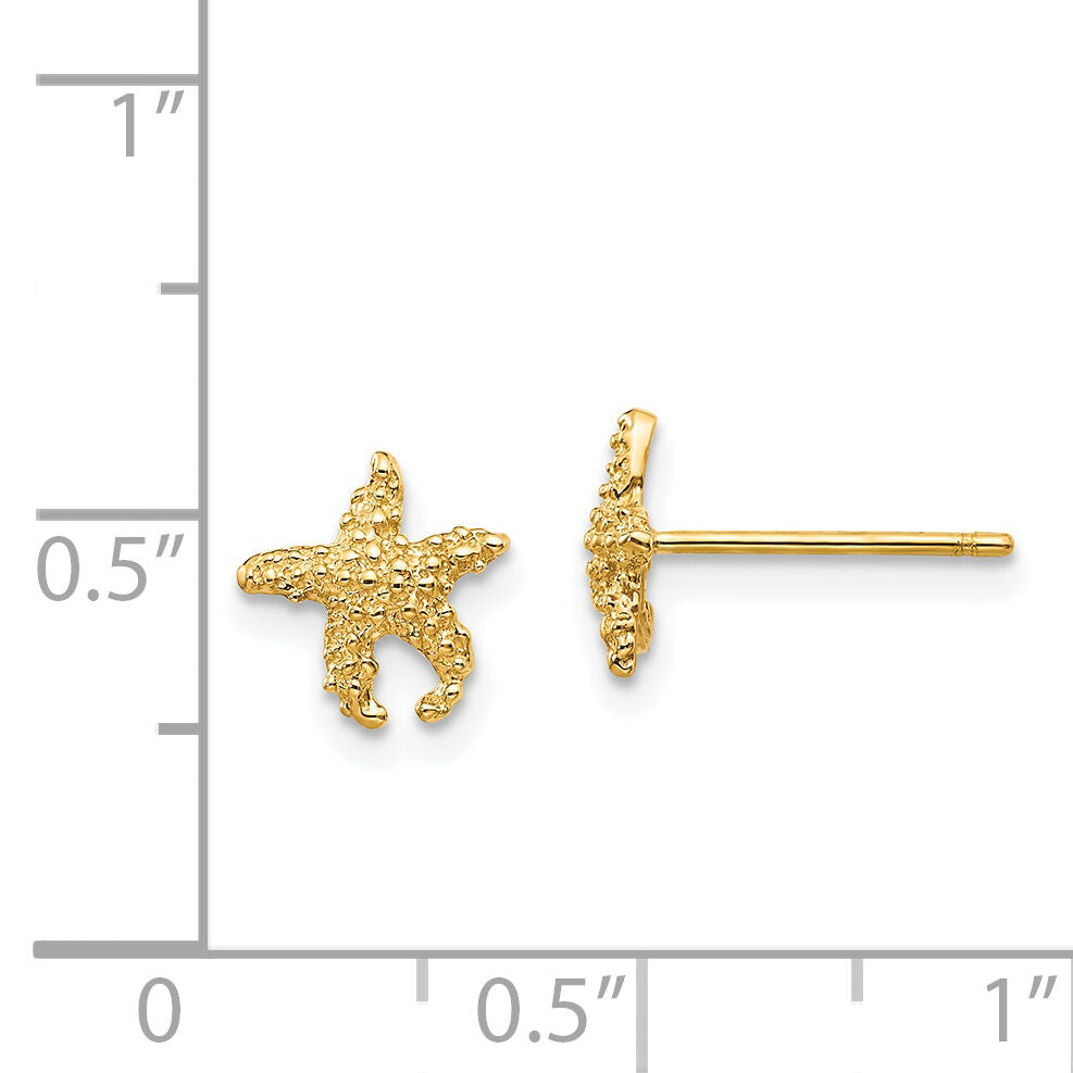 14K Polished and Textured Starfish Post Earrings-TM765