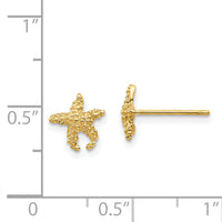 14K Polished and Textured Starfish Post Earrings-TM765