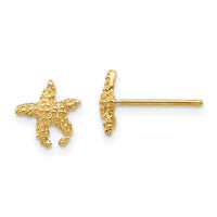 14K Polished and Textured Starfish Post Earrings-TM765