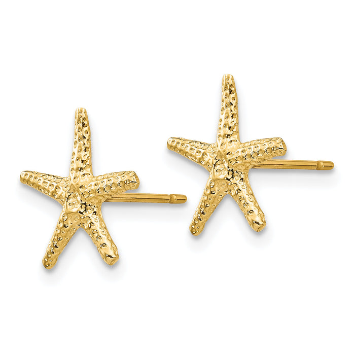 14k Starfish Post Earrings-TM766