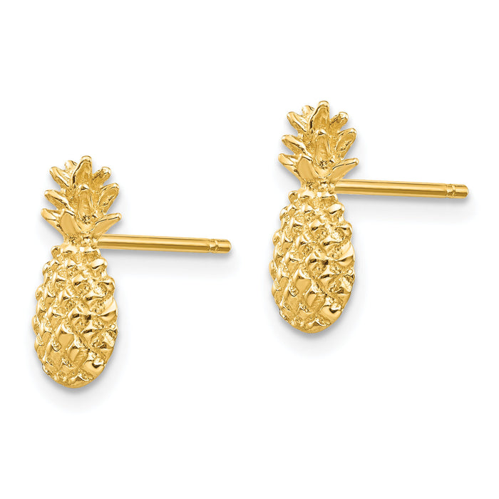 14K Polished and Textured Pineapple Post Earrings-TM773