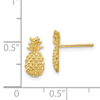 14K Polished and Textured Pineapple Post Earrings-TM773
