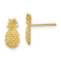 14K Polished and Textured Pineapple Post Earrings-TM773
