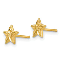 14k Polished and D/C Star Post Earrings-TM782