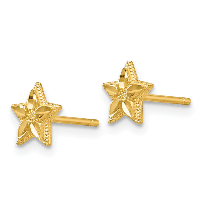 14k Polished and D/C Star Post Earrings-TM782