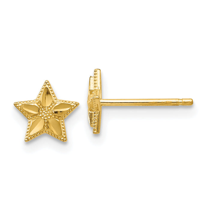 14k Polished and D/C Star Post Earrings-TM782