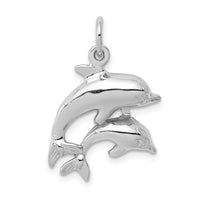 14k White Gold Dolphin Charm-WCH107