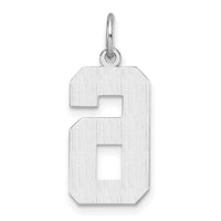 14kw Large Brushed Diamond-cut  Number 6 Charm-WLN06