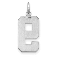 14kw Large Brushed Diamond-cut  Number 9 Charm-WLN09