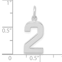 14kw  Medium Polished Number 2 Charm-WMP02