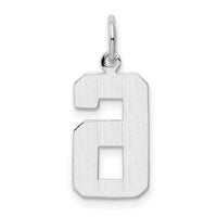 14kw Medium Polished Number 6 Charm-WMP06