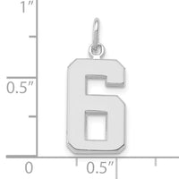 14kw Medium Polished Number 6 Charm-WMP06