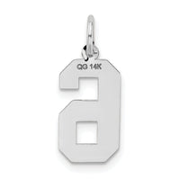 14kw Medium Satin Number 6 Charm-WSM06